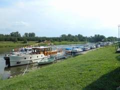 DSCN3035