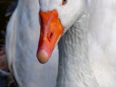 IMG_5849