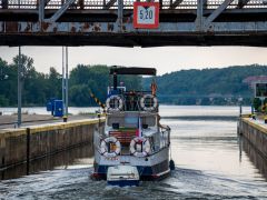 IMG_6555