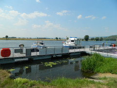 dscn5889