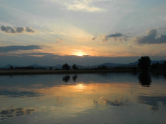 dscn5911