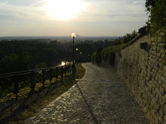 dscn5985