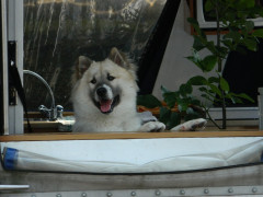 dscn6080