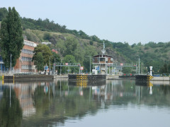 DSCN6902
