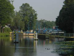 DSCN7083