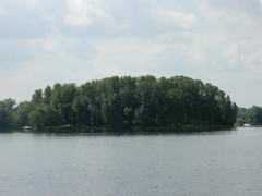 DSCN7320