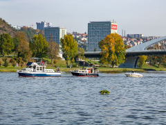 _MG_3382