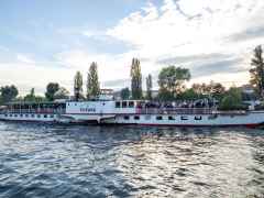 MG_7729