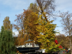 20161029_142639